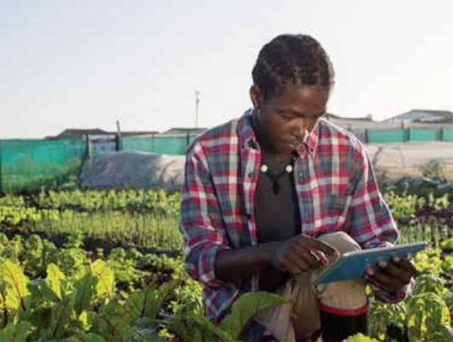 discoverFlavoursMobile