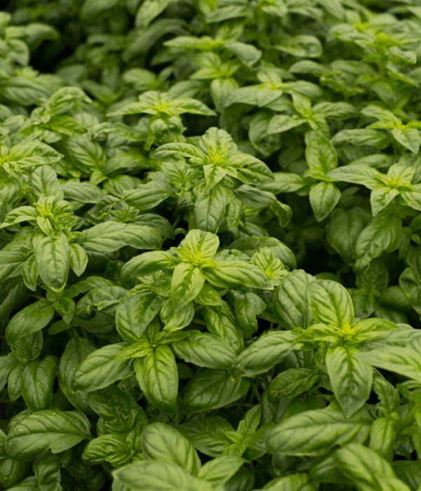 quality_left_sideimage