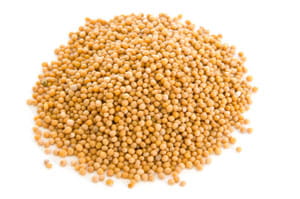 Coriander Seed