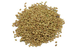 Fenugreek