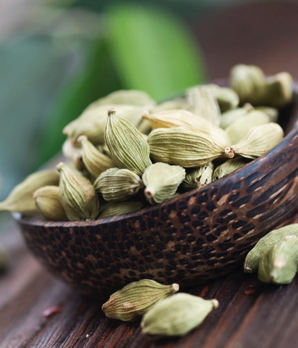 cardamome-desktop-1200