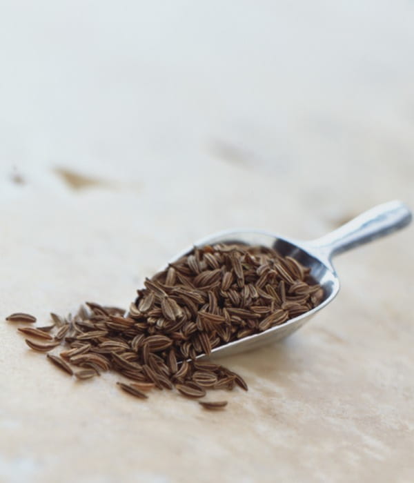 carraway-seed-desktop-1200