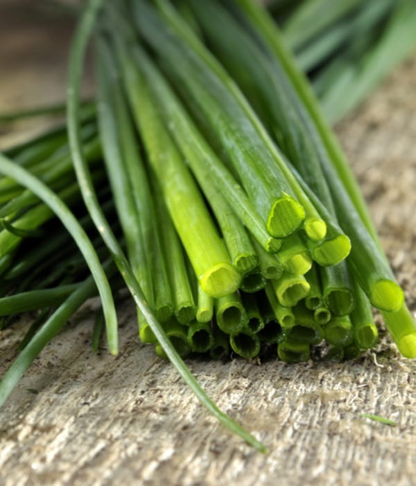 chives-desktop-1200