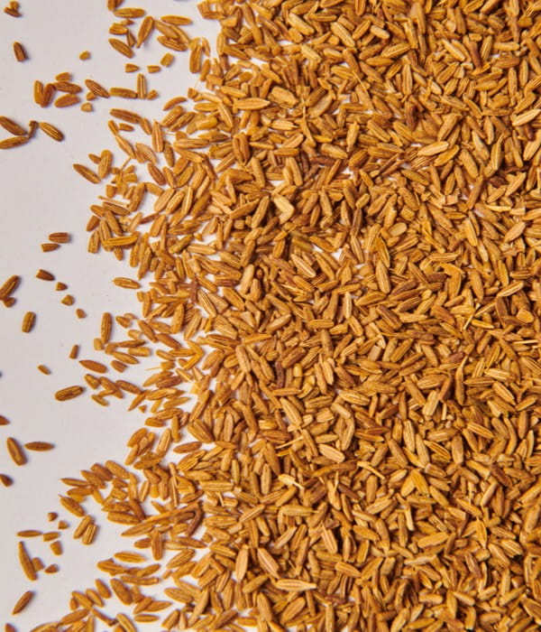 cumin-seed-desktop-1200