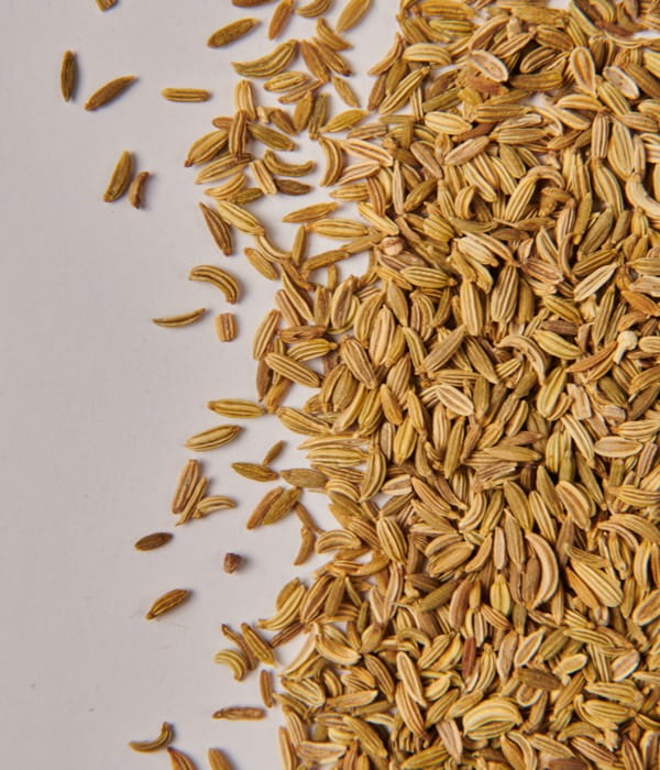 fennel-seed-desktop-1200