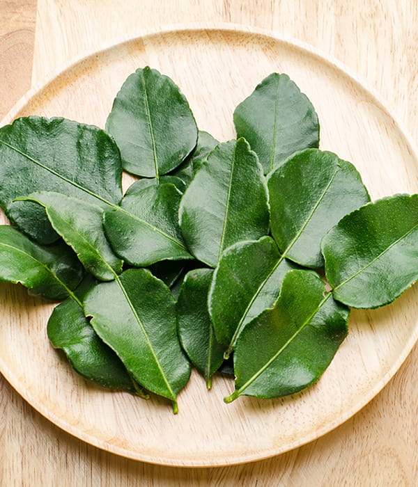 Lime-leaves