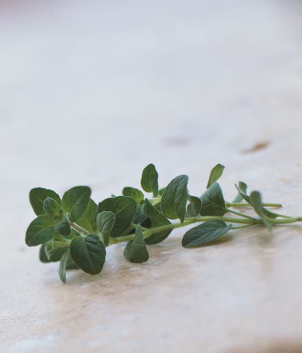 majoram-desktop-1200