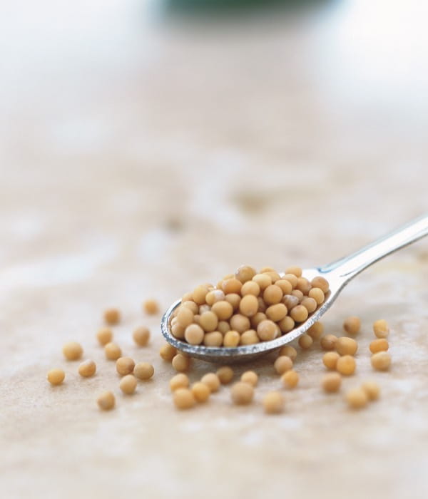 mustard-seed-desktop-1200