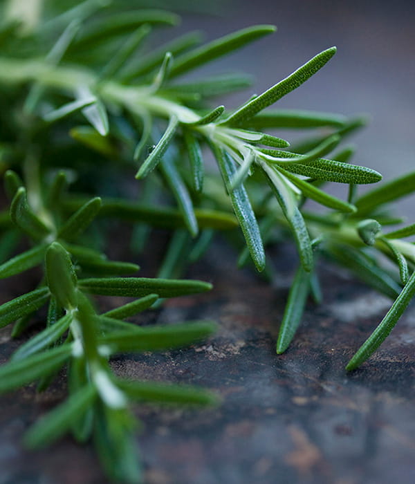 rosemary