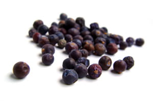 Juniper Berries
