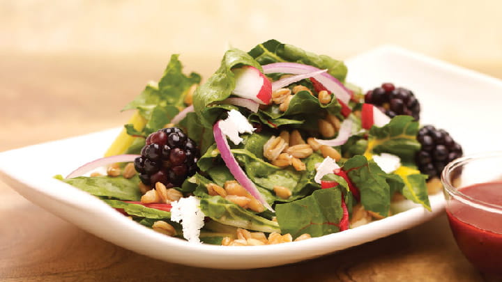 Swiss Chard Salad with Blackberry Clove Vinaigrette