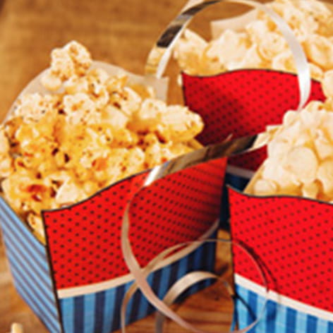 Seasoned20Popcorn20opt